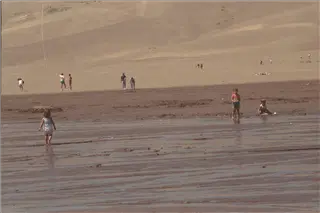 small_9400 1255 co etcIMG0059.webp